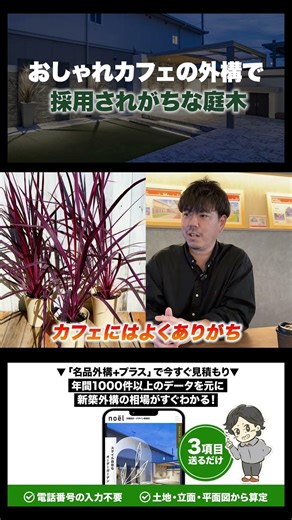 [Easy Garden] Create a simple and long-lasting garden with evergreen shrubs | 10 garden trees oft...