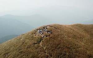 航拍 - 惠州白云嶂