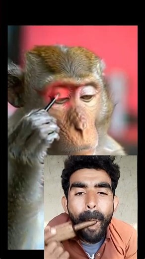 Monkey Makeup 🐒💄#vairalvideo #funny #shorts #makeup
