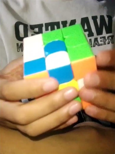 Fastest Rubik's Cube Solve😱