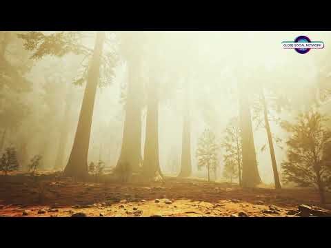 The Life-Changing Power of 20-Minute Meditation. #meditation #meditationtechniques #meditação