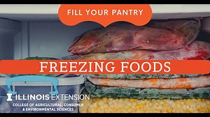 Food Preservation: How to Freeze Food