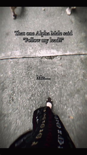 Understanding the Alpha Male Attitude