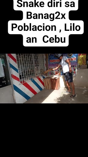 SAWA OR Phython Snake | Snooky Marababol Yrog-irog | Facebook