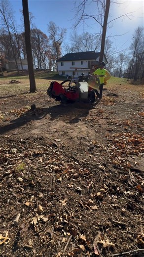 Let’s Grind It! 🚀 Books are open for spring 2026! Send a picture ➡️Receive a quote! ✅ Free quote ✅ Fast & affordable ✅ Licensed & insured ✅ Google Guaranteed business ⭐️⭐️⭐️⭐️⭐️Google reviews 📍 Serving the Twin Cities metro 🌐 NorthernStumpSolutions.com 📞 612-402-9989 text or call #stumpgrinding #stumpgrinder #stumpremoval #Minnesota #Twincities #lawntok | Northern Stump Solutions LLC