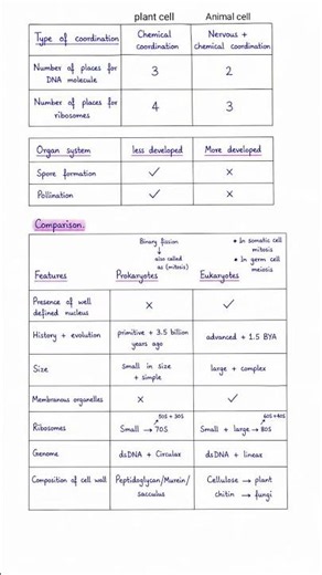 Prokaryotes vs Eukaryotes Comparison | Biology Notes | MDCAT/FSc Biology