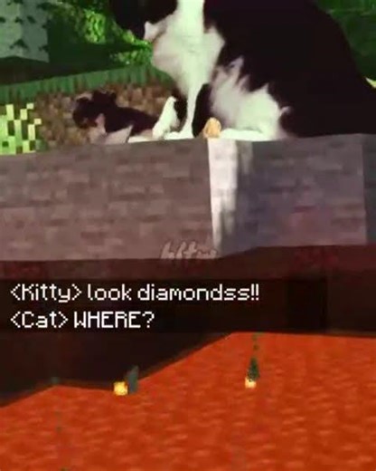 minecraft cat lol