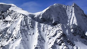 Consensio Brand Film - Chinese