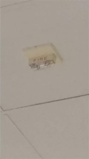 Wheelock RSS Remote Strobe