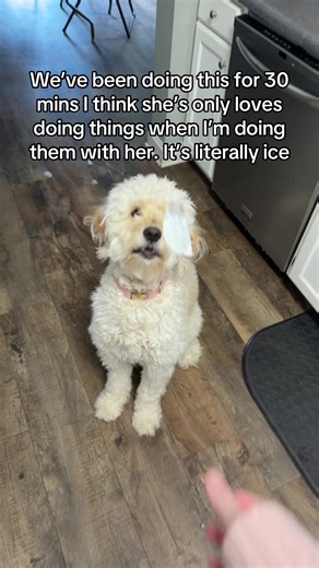 tarsier.eyes (@tarsier.eyes)’s videos with Margaret - Lana Del Rey