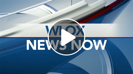 Harbor Lights Winter Festival in Gulfport lights up the season - NewsBreak