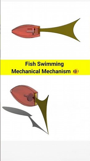 How Fish Swim: The Science Explained❓💡