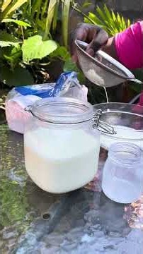 How to Care for Milk Kefir Grains | Achieng’s Homestead