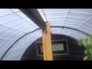 Cattle Panel Greenhouse