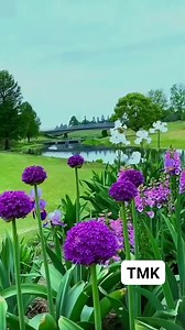 Selamat Pagi Semuanya | Trend Musik Kenangan