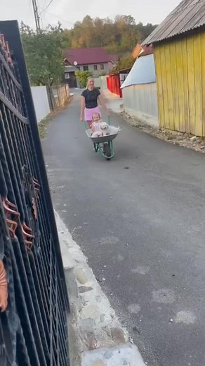 6.1K reactions · 448 shares | Bogdan Adrian Marin on Reels | Facebook