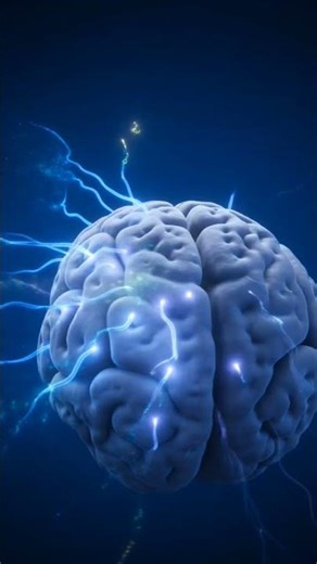 The Most Amazing Fact About the Human Brain 🧠 | Mind Blowing Facts