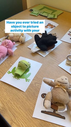 6.4K views · 27 reactions | Object to picture matching activities are...