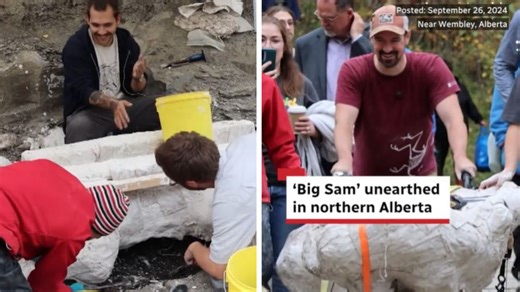 Paleontologists Finally Unearth The Elusive “Big Sam” After A Year Of Digging