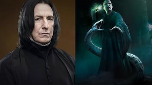 Harry Potter is the real dark lord!