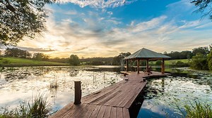 The listings wowing buyers