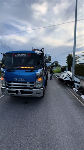 Efficient Car Carrier Solutions with Crane Selfloader