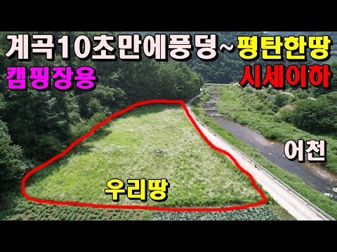 계곡이 바로앞에~평탄하고 동호인주택이나 캠핑장용으로 시세이하싼땅/정선부동산매매/정선토지매매