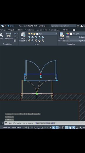 AutoCAD Dynamic Block - DS Door