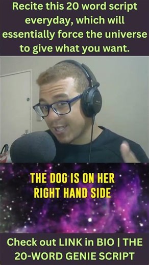 Recite a 20 word script by Wesley Virgin everyday, which will essentially force the universe to give