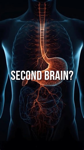 “You Have a Second Brain—And It Controls You”