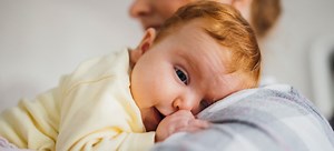 What are the chances of having a ginger baby? | Ginger Parrot