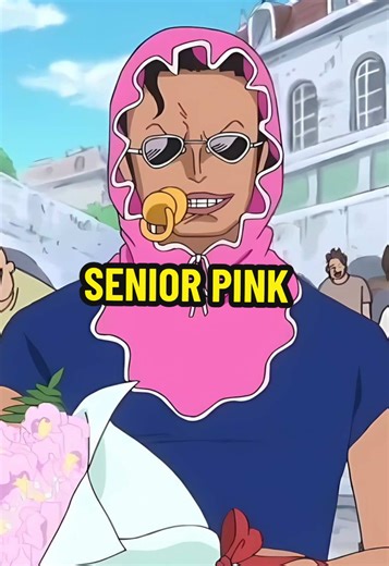Senior Pink: A Unique Character in One Piece