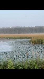 Stephanie Kersten on Reels