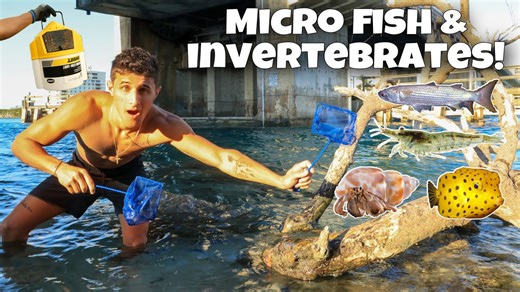 CATCHING MICRO FISH and INVERTEBRATES For My SALTWATER BAIT TANK!!