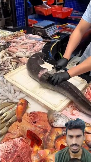 Swamp Eel Live Cutting | Big Fresh Eel Fish Preparation 😱 #SwampEel #EelFish #SeafoodMarket