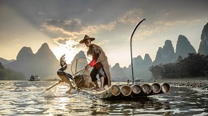 Stunning pic shows Chinese fisherman using cormorant seabirds to catch fish in 1,000 year-old technique