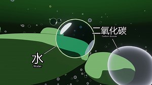 【blender动画】H2O CO2=O2 C6H12O6？