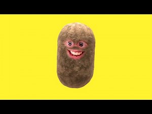 𝗦𝗣𝗨𝗗𝗭𝗔