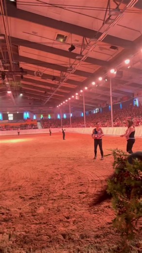 Die Comanchen bei der Ick Liebe Pferde Show von Patrick Thomalla💗✨ #ickliebepferde #pferd #pferde #pferdeshow #verden #fyp