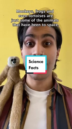 Exploring Fascinating Science Facts with New Scientist Staff