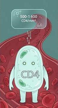 CD4: porqué son importantes? #activismopositivo #CD4 #VIH
