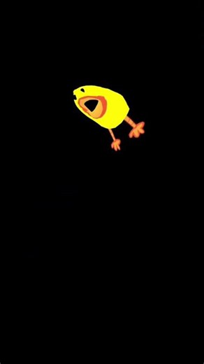 What the?