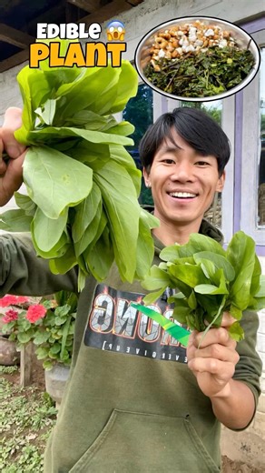 Edible Plants - टाकी 🌿🤤 #foodvlog #villagefood #nepalifood #wildfood #localfood #villagecooking