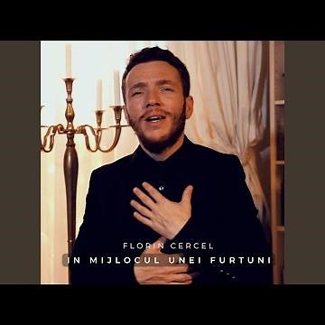 In mijlocul unei furtuni