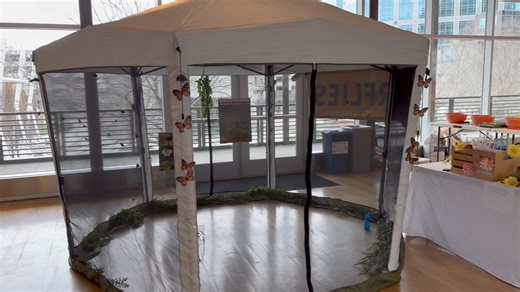Come celebrate Easter and Spring today at The Garden Party at The Gallivan Center. City Creek. Downtown SLC - goes til 2pm! #springflowers #garden #gardeninglife #Good4Utah #saltlakecity | Good Things Utah