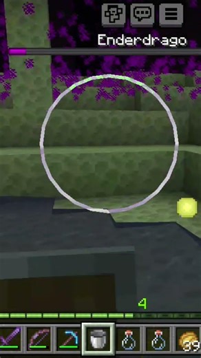 sconfiggo l'ender dragon #minecraft #end #enderdragon #italy