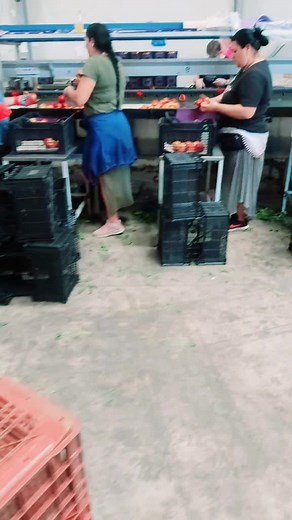 Βίντεο χρήστη περιξ με φωναζουν (@xristos_xristaki) με μουσική