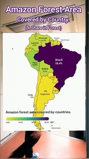 Amazon Forest Area Covered by Country // Amazon Forest share // Mapping Series //Episode 14 //