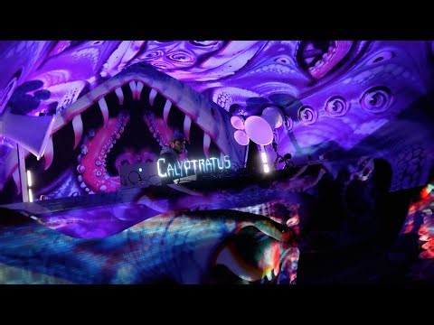 Calyptratus @ Naturaíz Festival 2024