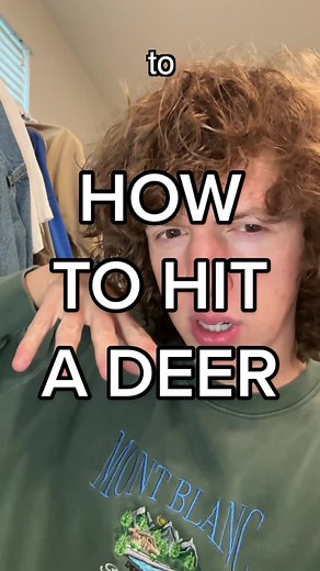 How to Safely Encounter a Deer While Driving
